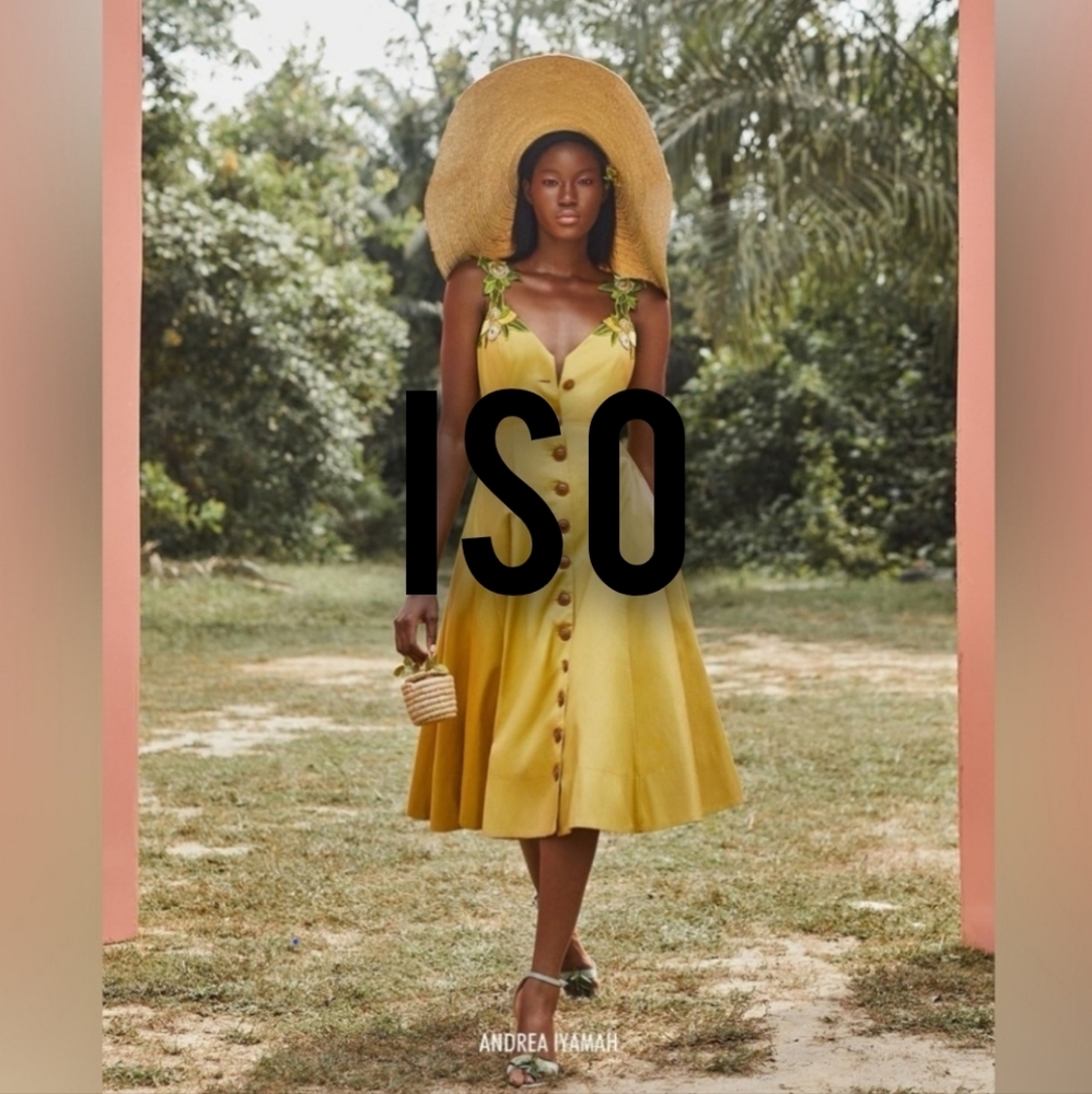 ISO of Andrea Iyamah Lona Dress Size L or XL.
